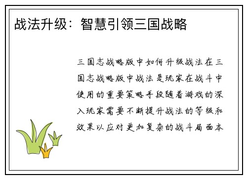 战法升级：智慧引领三国战略